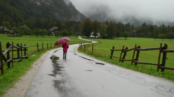 Little Girl Umbrella Walking Rain Country Road Farmhouse Background Alpine — Stock video