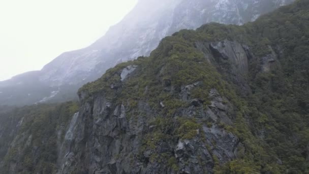 Jagged Cliuff Faces Surrounded Mist Fog Fjords Milford Sound New — Wideo stockowe