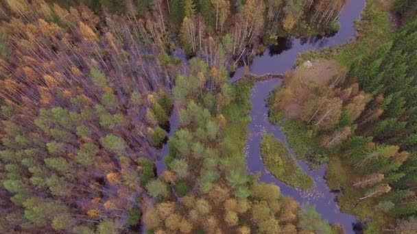 Slowly Rotating Aerial Video Beautiful Autumn Colored Finnish Forest Flooding — Stock Video