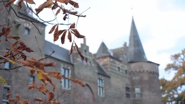秋に葉から城の正面にフォーカスプル — ストック動画