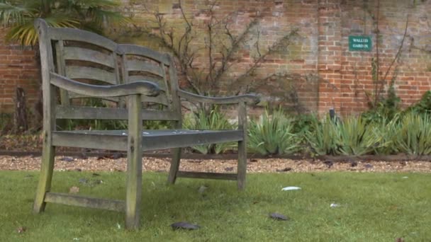 Empty Garden Bench — Vídeo de Stock