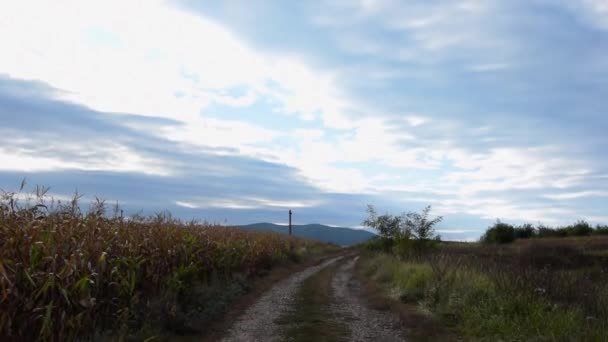 Панорамний Вид Одноколійну Дорогу Хмарне Небо — стокове відео