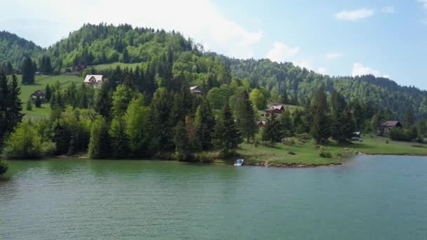 Aerial Downwards Moving Shot Low Altitude Trees Water Lake — Vídeos de Stock