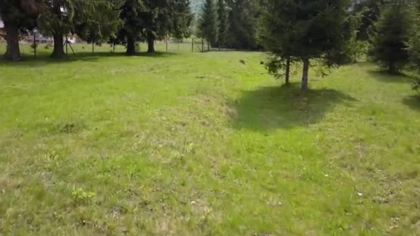 Aerial Low Altitude Moving Shot Grass Floor Valley — Stock videók