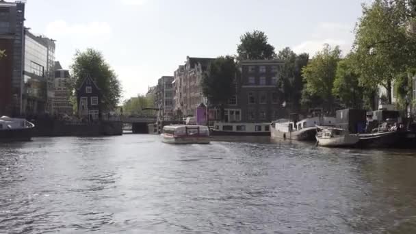 Rejs Statkiem Turystycznym Pięknym Mieście Amsterdam Dolnej Części Kraju — Wideo stockowe