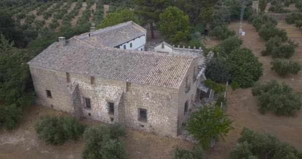 Aerial View Traditional Spanish Cottage Surrounded Olives — Vídeo de Stock