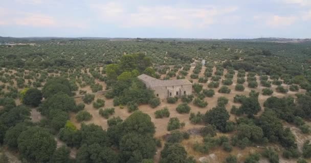 Aerial View Traditional Spanish Cottage Surrounded Olives — Wideo stockowe