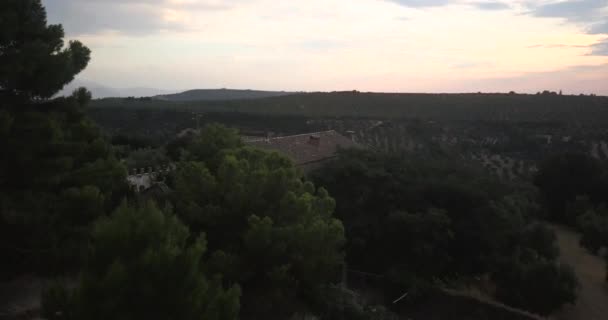 Aerial View Traditional Spanish Cottage Surrounded Olives — Vídeo de Stock