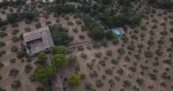 Aerial View Traditional Spanish Cottage Surrounded Olives — Stockvideo