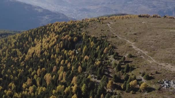 Aerial Shot Larch Forest Autumn Colors Rhne Valley Sion Surrounding — Video Stock