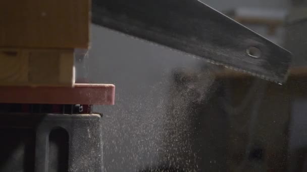 Slow Motion Footage 120 Fps Saw Cutting Large Plank Wood — Αρχείο Βίντεο