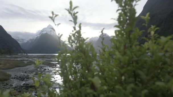 Slow Motion Reveal Shot Milford Sound New Zealand Sunny Afternoon — Stock Video