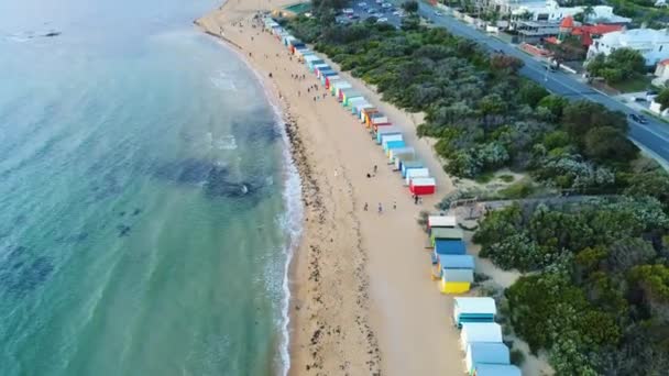 Brighton Beach Boxes Aerial Tilt Reveal Melbourne City Skyline — Stock video