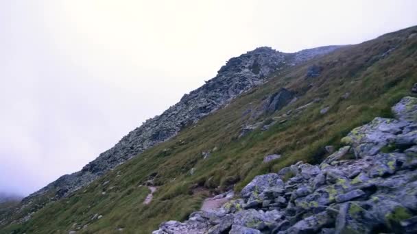 Wide Shot Retezat Mountains Romania Looking Hillside — Vídeos de Stock