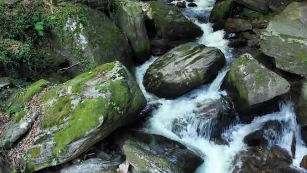 Drone Flzing Над Гірської Річки Камені Валуни Ліс Bistriski Vintgar — стокове відео