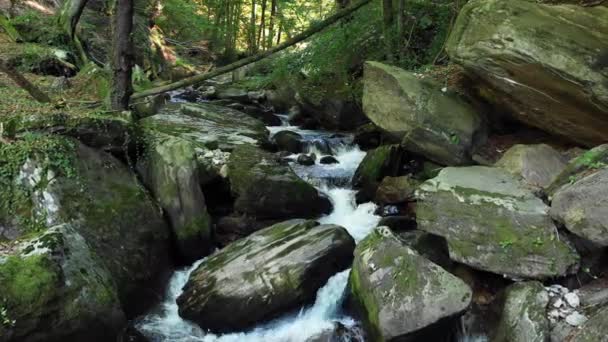 Гірська Річка Протікає Через Камені Валуни Ліс Bistriski Vintgar Словенія — стокове відео