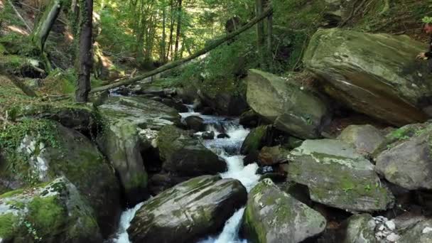 Гірська Річка Протікає Через Камені Валуни Лісі Bistriski Vintgar Ущелині — стокове відео