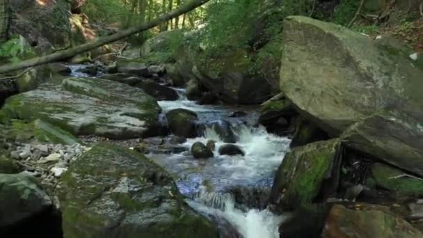 Rivière Montagne Coulant Sur Les Rochers Les Rochers Dans Forêt — Video