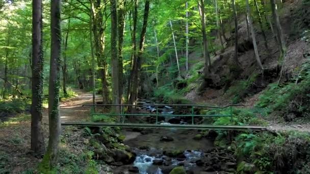 Vuelo Aéreo Sobre Puente Que Cruza Río Montaña Con Rocas — Vídeos de Stock