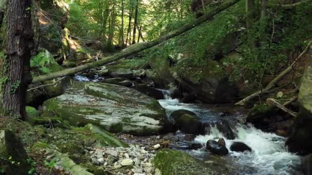 岩とスロベニア Bistriski ヴィントガルを通してポホフェの山 森の岩の上を流れる山川ハイキングや野外の観光ランドマーク 生態のきれいな水の概念 天然資源 — ストック動画