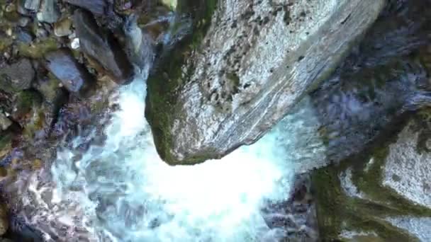 Гірська Річка Протікає Через Камені Валуни Лісі Bistriski Vintgar Ущелині — стокове відео