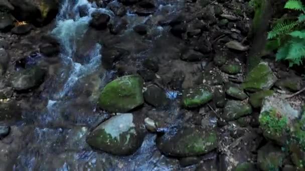 Oiseau Eze Vue Aérienne Rivière Mountain Avec Rochers Rochers Dans — Video