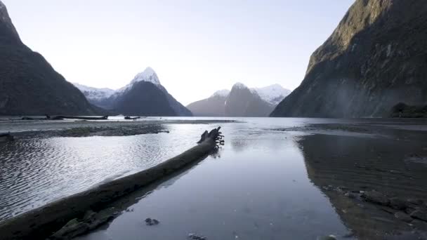 Milford Sound New Zealand Clear Sunny Afternoon — 图库视频影像