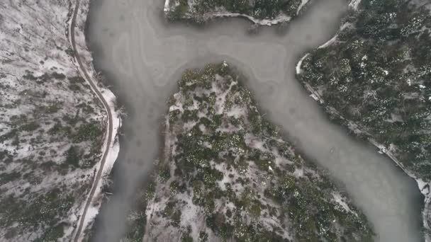 Aerial Shot Frozen Lake Surrounded Forest Winter — Vídeo de Stock