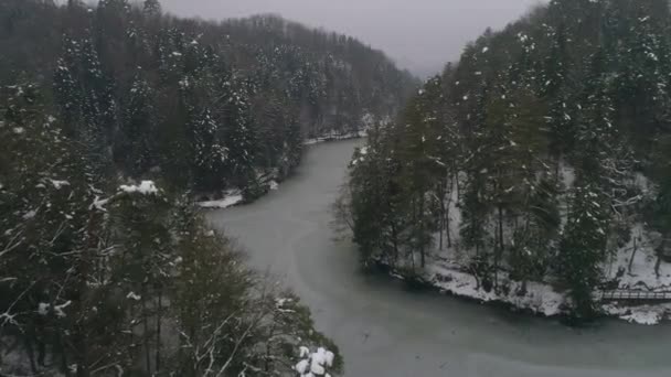 Aerial Shot Frozen Lake Surrounded Forest Winter — Video