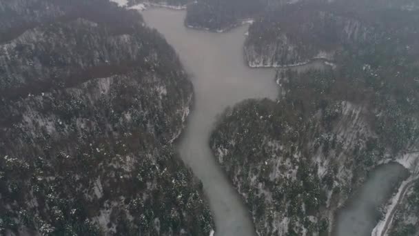 Aerial Shot Frozen Lake Surrounded Forest Winter — Wideo stockowe