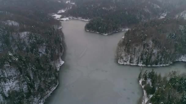 Aerial Shot Frozen Lake Surrounded Forest Winter — 비디오