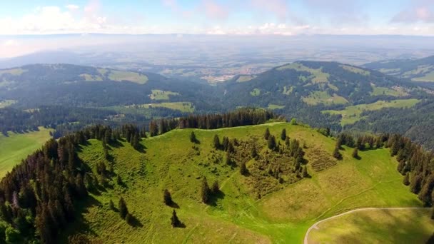 Aerial Shot Alpine Landscape Switzerland Spring Forest Alpages — Video Stock