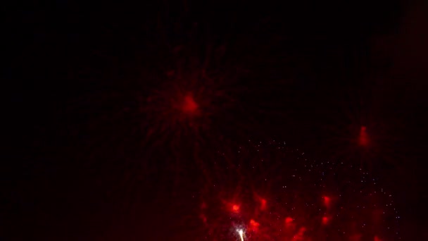 Beautiful Firework Display Sky Background Night — ストック動画