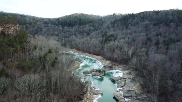 Río Congelado Con Madera Capturada Deriva — Vídeo de stock