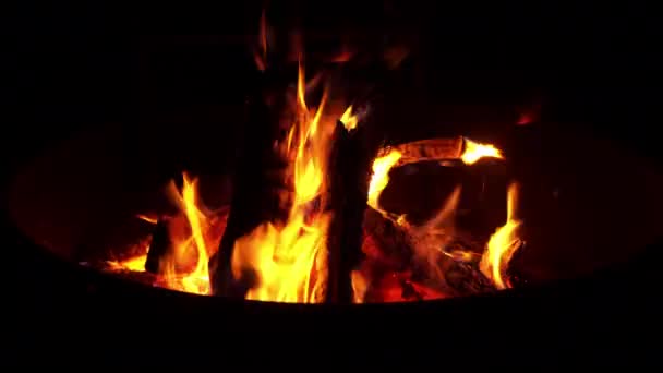 Campfire Flames Burn Firewood Bright Orange Night Outdoor Campsite — Video Stock