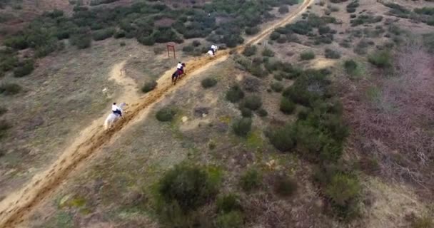 Aerial View Three Horses Racing Desert Environment — Stockvideo