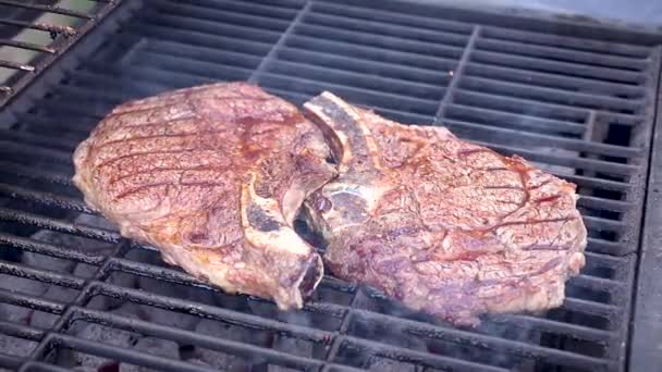 Zoom Out View Big Juicy Steaks Cooking Hot Charcoal — Video