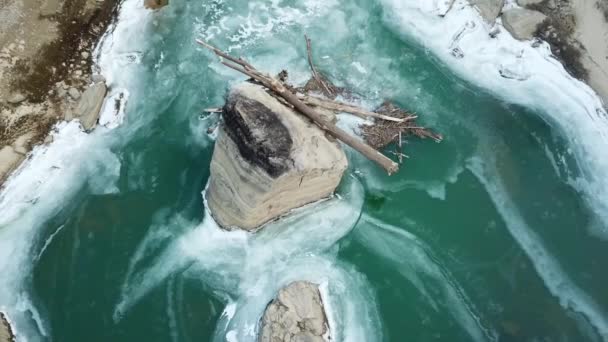 Driftwood Caught River Boulder — 图库视频影像