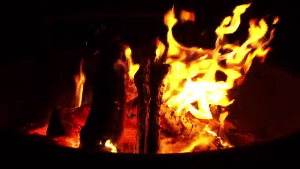 Campfire Flames Burn Firewood Slowly Night Outdoor Campsite — Vídeo de Stock