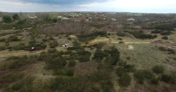 Aerial View Three Horses Racing Desert Environment — Vídeos de Stock