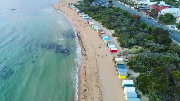 Brighton Beach Boxes Aerial Tilt Reveal Melbourne City Skyline — Wideo stockowe