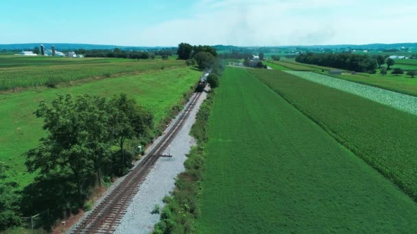 ドローンで見られるように 日当たりの良い夏の日に蒸気鉄道はアマン派の農地や田園地帯を通過 — ストック動画