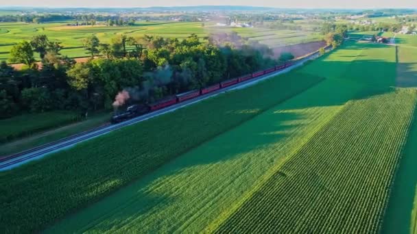 Steam Train Passing Amish Farm Lands Countryside Sunny Summer Day — Stock Video