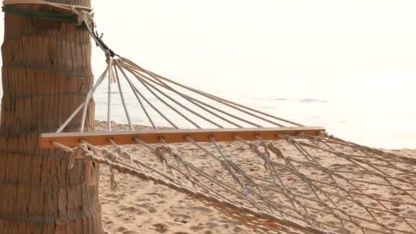Порожній Гамак Прекрасному Пляжі Морі Під Час Сходу Сонця — стокове відео