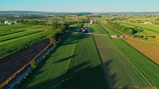 Tren Vapor Que Pasa Través Tierras Granja Amish Campo Día — Vídeo de stock