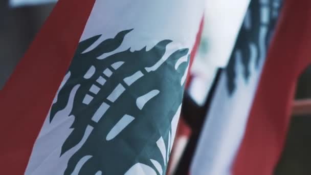 Pandangan Lain Dari Bendera Lebanon Bikfaya — Stok Video