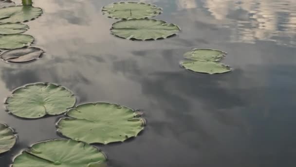 Проходячи Повз Нейфуарс Озері — стокове відео