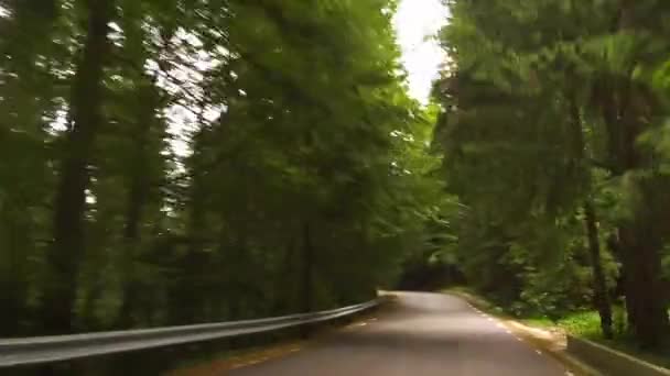 Condução Suave Uma Estrada Sinuosa Uma Floresta Montanha Bucegi Romênia — Vídeo de Stock