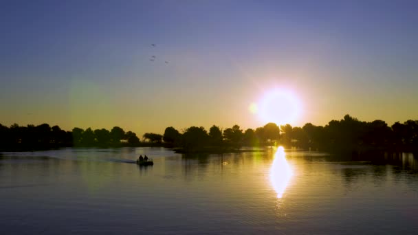 Sunrising Lake Ducks — Stok video