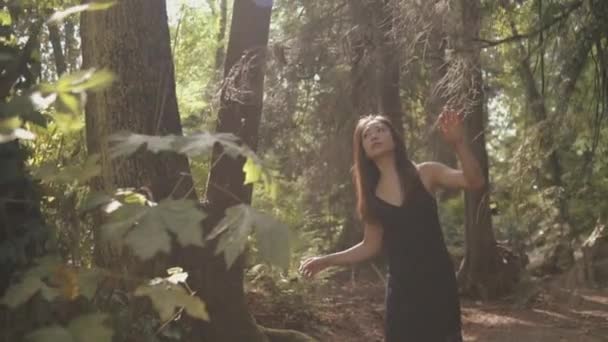 黒で美しいアジアの女性の中出し日当たりの良い森を探索 Slowmo — ストック動画